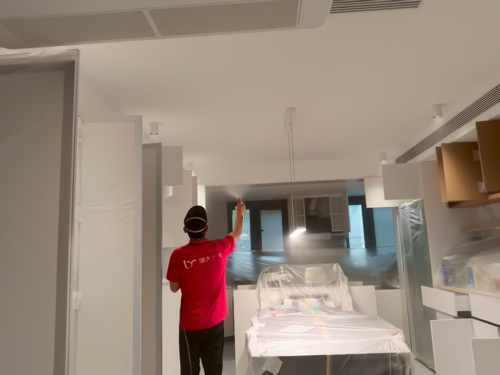 北京冰虫除甲醛专业技